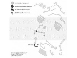 BORG & BECK BTH1393 kompresoriaus padavimo žarna
55352017, 5860823