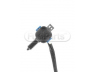 STANDARD LB1719 lambda jutiklis 
 Variklis -> Variklio elektra
059 906 262F