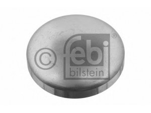 FEBI BILSTEIN 31794 užšalęs kaištis 
 Variklis -> Karteris -> Variklio blokas
036 103 113, 06B 103 113, 036 103 113