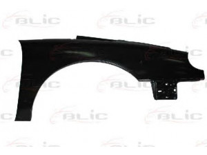 BLIC 6504-04-6049312P sparnas 
 Kėbulas -> Kėbulo dalys/ sparnas/buferis -> Sparnas/montavimo dalys
77 51 667 560, 7751667560