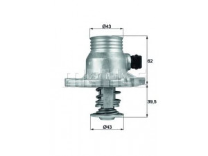 MAHLE ORIGINAL TM 11 105 termostatas, aušinimo skystis 
 Aušinimo sistema -> Termostatas/tarpiklis -> Thermostat
1153 1 437 526, 1153 1 704 324