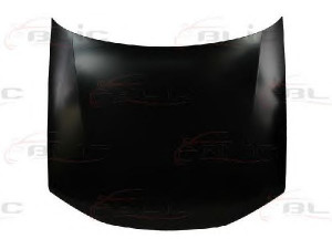 BLIC 6803-00-5536280P gaubtas 
 Kėbulas -> Transporto priemonės galas -> Gaubtas/dalys/garso izoliacinė medžiaga
7901G6