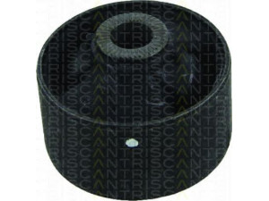 TRISCAN 8500 43806 valdymo svirties/išilginių svirčių įvorė 
 Ašies montavimas/vairavimo mechanizmas/ratai -> Valdymo svirtis/pasukamosios svirties sujungimas -> Montavimas/sutvirtinimas
54584-2S000, 54584-3S000, 54584-2S000