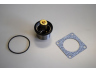 WAHLER 411133.80D termostatas, aušinimo skystis 
 Aušinimo sistema -> Termostatas/tarpiklis -> Thermostat
129 3885 / F75-85-95, 129 3885 / F75-85-95