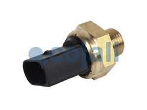 COJALI 2260288 jutiklis
21540602, 21634024