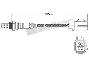 WALKER PRODUCTS 250-24482 lambda jutiklis 
 Variklis -> Variklio elektra
C2P16397, 30622243, 30622252, 30650090