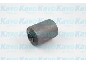 KAVO PARTS SCR-6537 valdymo svirties/išilginių svirčių įvorė 
 Ašies montavimas/vairavimo mechanizmas/ratai -> Valdymo svirtis/pasukamosios svirties sujungimas -> Montavimas/sutvirtinimas
5450401A00, 5450401A10