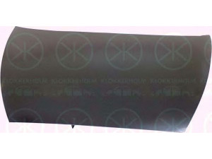 KLOKKERHOLM 2505280A1 gaubtas 
 Kėbulas -> Transporto priemonės priekis -> Gaubtas/dalys/garso izoliacinė medžiaga
1 087 913
