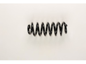 BILSTEIN 36-174041 spyruoklė 
 Pakaba -> Spyruoklės
33 53 1 096 301, 33 53 1 096 302