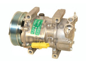 WEBASTO 82D0156022CA kompresorius, oro kondicionierius 
 Oro kondicionavimas -> Kompresorius/dalys
6189509160, 6453JL, 6453JP, 6453KS