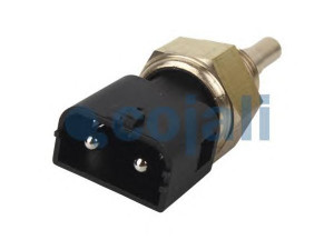 COJALI 2260223 jutiklis
1594228