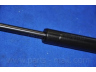 PARTS-MALL PQD-007 dujinė spyruoklė, bagažinė 
 Priedai -> Bagažinė/pakrovimo skyrius
7116006000, 7116006000X, 7116006001