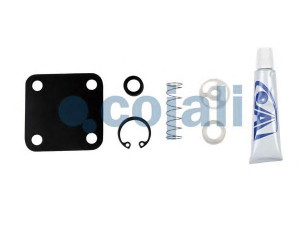 COJALI 6012009 remonto komplektas