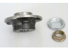 TRISCAN 8530 38213 rato guolio komplektas 
 Ašies montavimas/vairavimo mechanizmas/ratai -> Rato stebulė/montavimas -> Rato guolis
3748.70, 3748.70