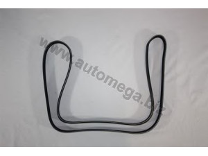 AUTOMEGA 3163400606 V formos rumbuoti diržai 
 Techninės priežiūros dalys -> Techninės priežiūros intervalai
6340606, 6340606, 6340606