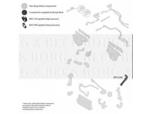 BORG & BECK BTH1385 kompresoriaus padavimo žarna 
 Išmetimo sistema -> Turbokompresorius
5835854