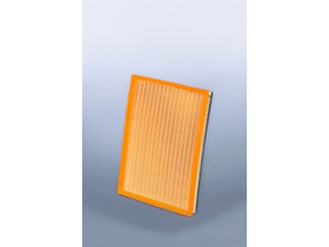 FLEETGUARD AF27833 oro filtras
5010317658