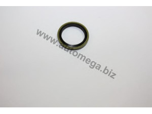 AUTOMEGA 300164088 tarpiklis, alyvos išleidimo kaištis
016454, 016488, 97532964, M883408