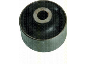 TRISCAN 8500 43801 valdymo svirties/išilginių svirčių įvorė 
 Ašies montavimas/vairavimo mechanizmas/ratai -> Valdymo svirtis/pasukamosios svirties sujungimas -> Montavimas/sutvirtinimas
54584-1G000, 54584-1G000