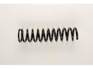 BILSTEIN 36-225873 spyruoklė 
 Pakaba -> Spyruoklės
124 321 19 04
