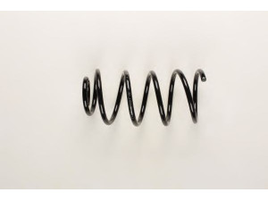 BILSTEIN 36-195930 spyruoklė 
 Pakaba -> Spyruoklės
8N0 411 105 E