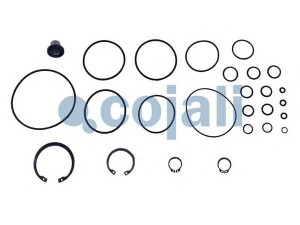 COJALI 6014006 remonto komplektas
