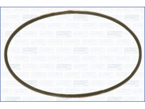 AJUSA 00975300 tarpiklis, išleidimo kolektorius 
 Išmetimo sistema -> Surinkimo dalys -> Atskiros surinkimo dalys -> Sandariklis, alyvos pompa
1047008