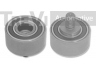 TREVI AUTOMOTIVE TD1486 kreipiantysis skriemulys, paskirstymo diržas 
 Diržinė pavara -> Paskirstymo diržas/komplektas -> Laisvasis/kreipiamasis skriemulys
1350487701, 1350487701000