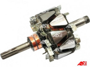 AS-PL AR5025 rotorius, kintamosios srovės generatorius