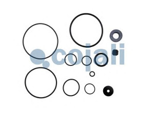 COJALI 6012036 remonto komplektas, greitinimo vožtuvas