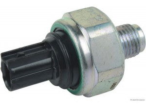 MAGNETI MARELLI 600000178950 detonacijos jutiklis
30530-RB0-004