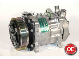 ELECTRO AUTO 20A8099 kompresorius, oro kondicionierius 
 Oro kondicionavimas -> Kompresorius/dalys
82016157
