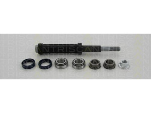 TRISCAN 8500 38401 pakabos komplektas 
 Ašies montavimas/vairavimo mechanizmas/ratai -> Valdymo svirtis/pasukamosios svirties sujungimas -> Vairo trauklės (valdymo svirtis, išilginis balansyras, diago