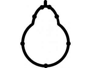 ELRING 359.370 tarpiklis, įsiurbimo kolektorius 
 Variklis -> Cilindrų galvutė/dalys -> Įsiurbimo kolektoriaus tarpiklis/sandarinimo žiedas
11 61 1 437 384