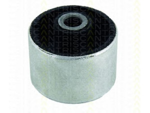 TRISCAN 8500 25830 valdymo svirties/išilginių svirčių įvorė 
 Ašies montavimas/vairavimo mechanizmas/ratai -> Valdymo svirtis/pasukamosios svirties sujungimas -> Montavimas/sutvirtinimas
54500-0011R, 54501-0012R