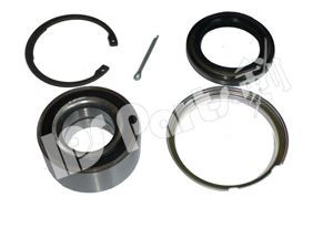 IPS Parts IUB-10267 rato guolio komplektas