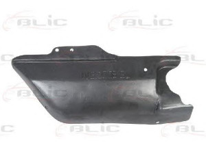 BLIC 6601-02-3080871P variklio dangtis 
 Variklis -> Variklio dangtis
500327274