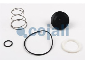 COJALI 6012142 remonto komplektas