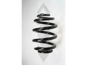 SPIDAN 55085 spyruoklė 
 Pakaba -> Spyruoklės
33 53 1 095 710