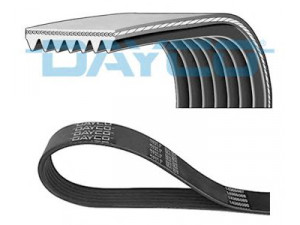DAYCO 7PK1290 V formos rumbuoti diržai 
 Techninės priežiūros dalys -> Techninės priežiūros intervalai
021145933C, 7198535, 95VW6C301JA