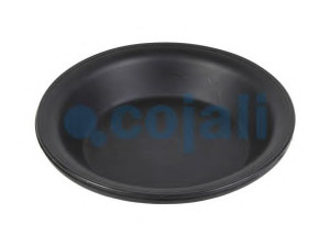 COJALI 6001116 membrana, spyruoklinis cilindras
93192312