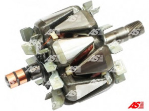 AS-PL AR6018 rotorius, kintamosios srovės generatorius