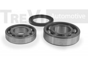 TREVI AUTOMOTIVE WB2002 rato guolio komplektas 
 Ašies montavimas/vairavimo mechanizmas/ratai -> Rato stebulė/montavimas -> Rato guolis
374807