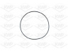 KWP 10528 vandens siurblys 
 Aušinimo sistema -> Vandens siurblys/tarpiklis -> Vandens siurblys
546329, 60537381, 60558613