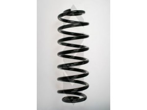 SPIDAN 55100 spyruoklė 
 Pakaba -> Spyruoklės
33 53 1 093 940