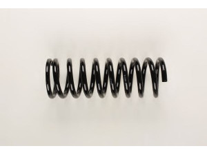 BILSTEIN 36-226061 spyruoklė 
 Pakaba -> Spyruoklės
116 324 08 04, 116 324 1104