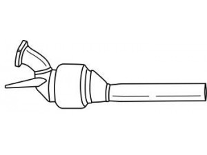 AKS DASIS SG49134 katalizatoriaus keitiklis