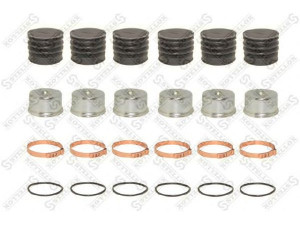 STELLOX 85-10344-SX remonto komplektas, stabdžių apkaba
81508226025