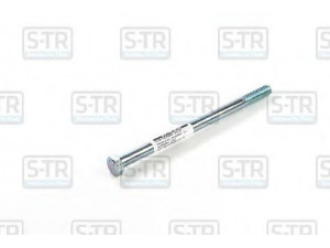 S-TR STR-4M12X200 lingės varžtas