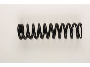 BILSTEIN 36-133864 spyruoklė 
 Pakaba -> Spyruoklės
126 321 18 04